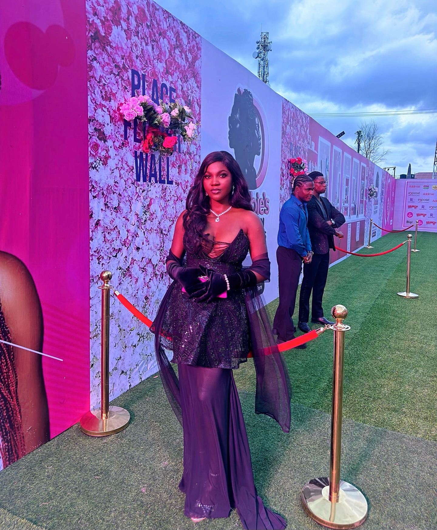 Premiere Carpet — Goodness James Egbe
